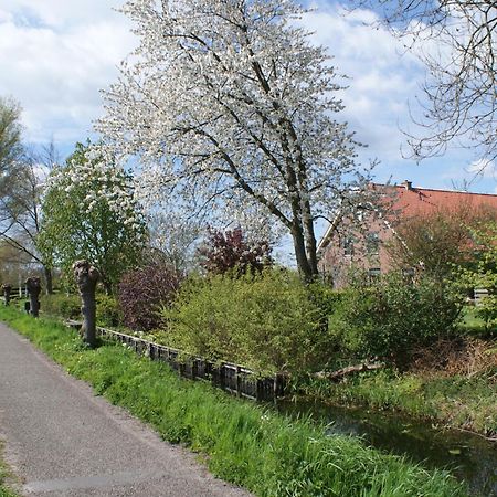 Appartement Gastenverblijf De Natureluur à Noorden Extérieur photo